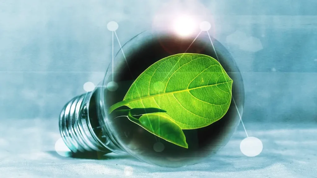 12 Simple Ways to Cut Your Home Energy Bill image of eco light bulb